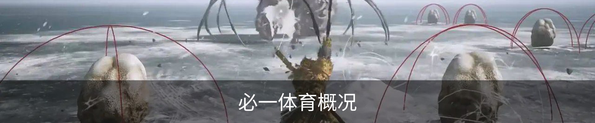 必一体育概况